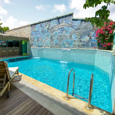 Provence Mansion אלאקאטי