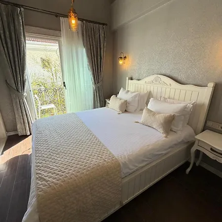Hotel Provence Mansion